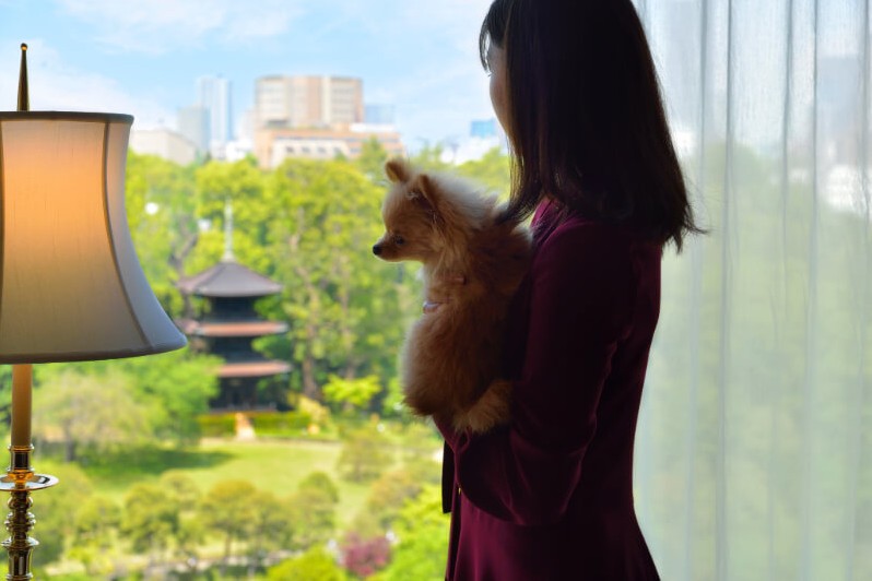 ペットとの宿泊が可能なゲストルーム。東京にいることを忘れてしまうような豊かな自然に包まれている。