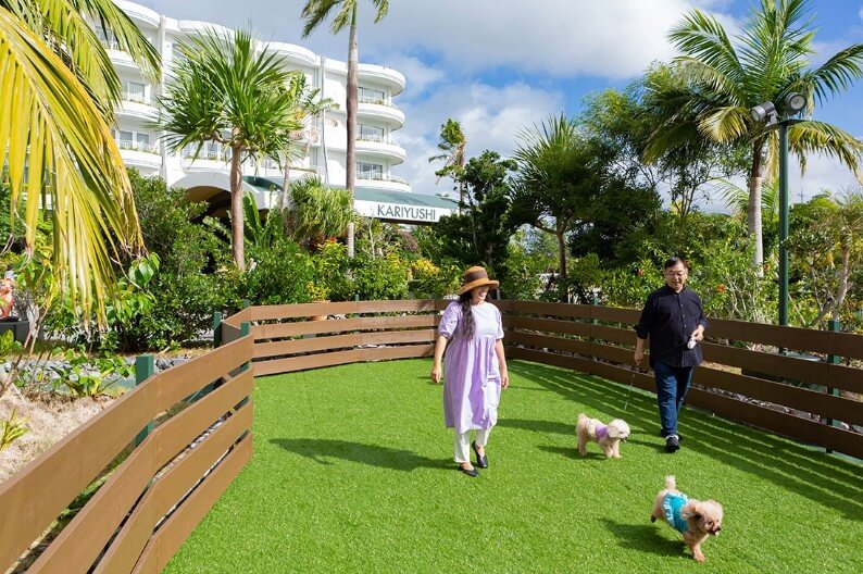 ドッグパーク(ドッグラン)では、元気に走り回る愛犬の姿を楽しめる。