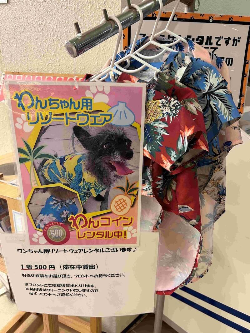 旅気分が盛り上がるレンタル用の華やかな犬用ウエアは大人気。