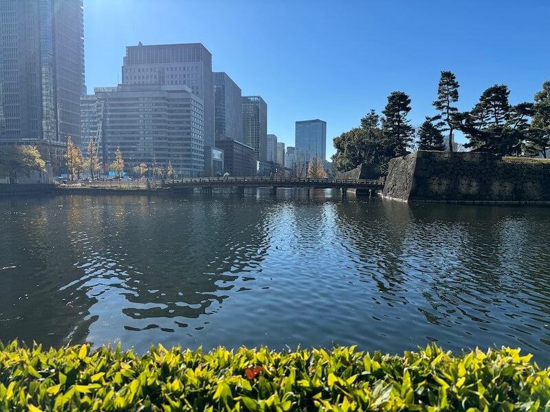 皇居外苑の和田倉濠に隣接するパレスホテル東京にとって、和田倉濠の環境保全活動は大切な使命だと考えている。