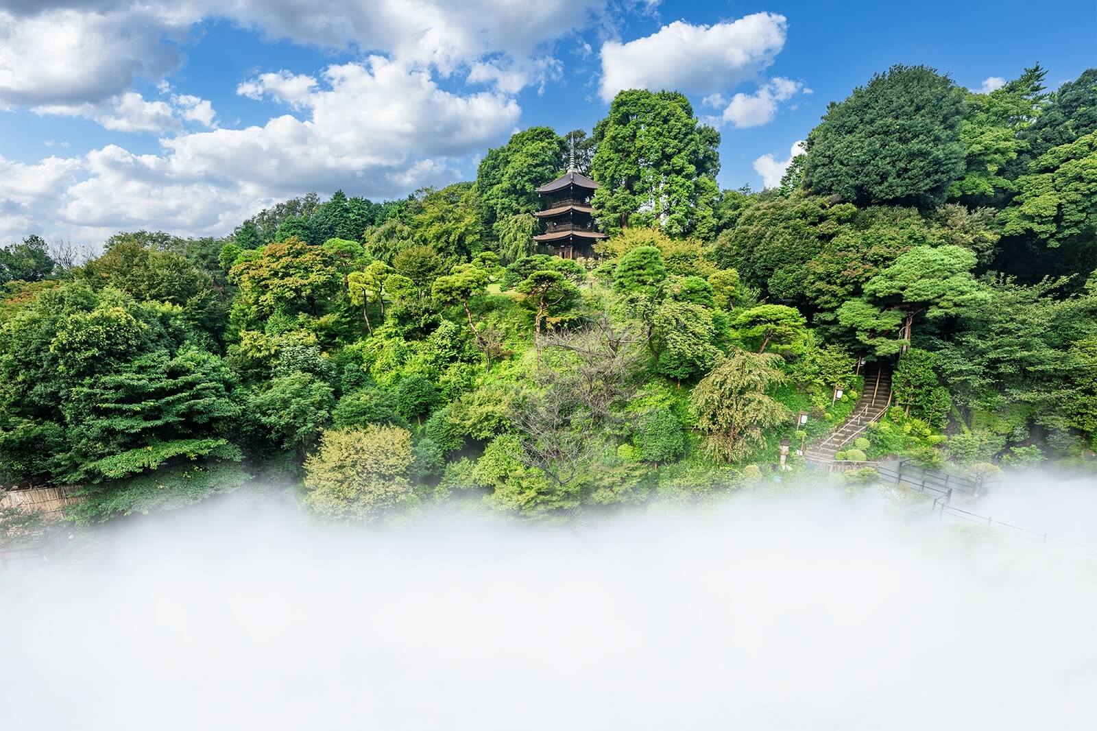 庭園の深い緑に抱かれた三重塔が、1時間に1〜2回立ちのぼる白い雲海に浮かび上がり、幻想的な光景をつくり出す写真