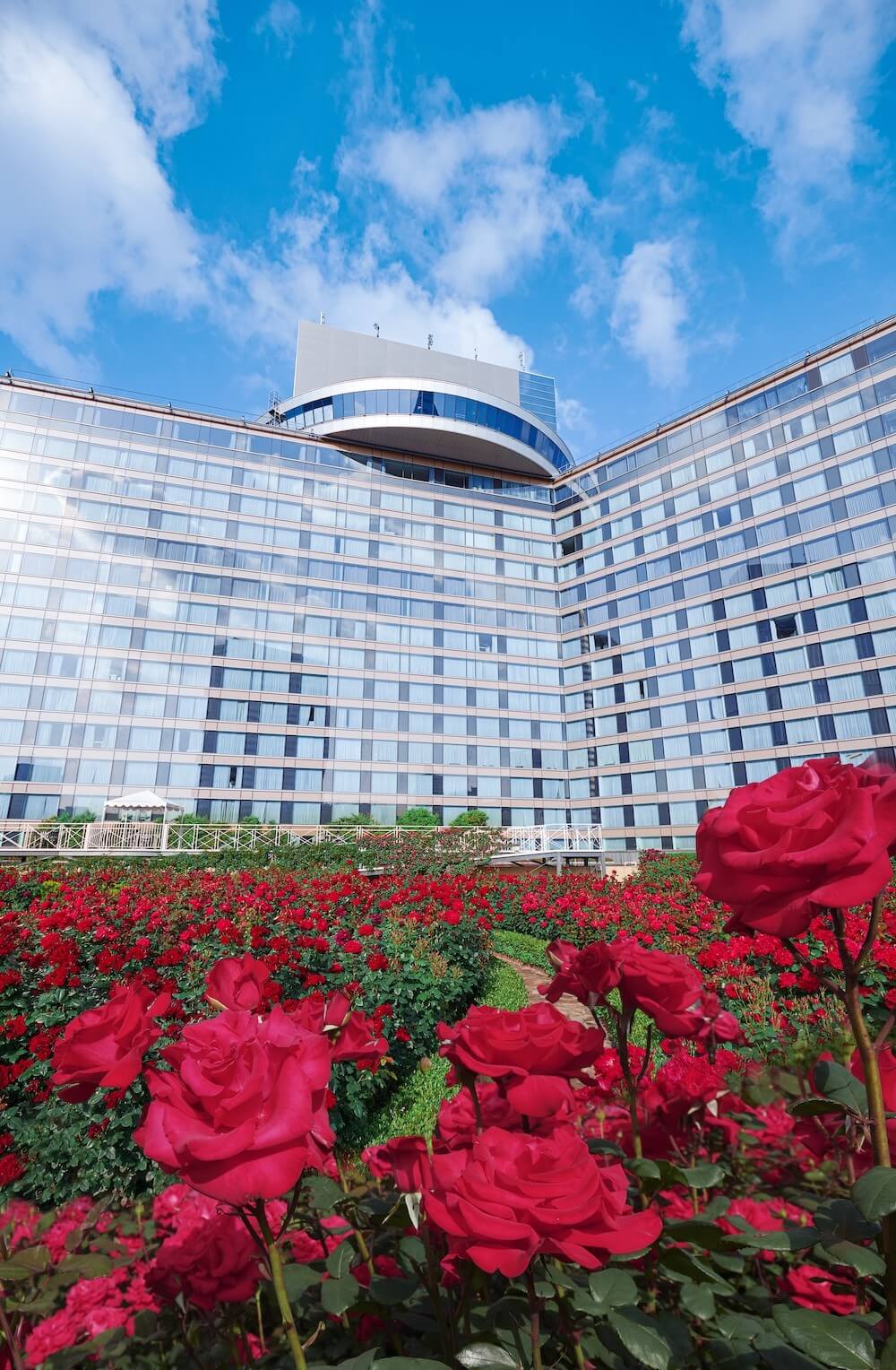 赤いバラが一面に咲く庭園の奥に、大型ホテルの建物が広がる外観風景。