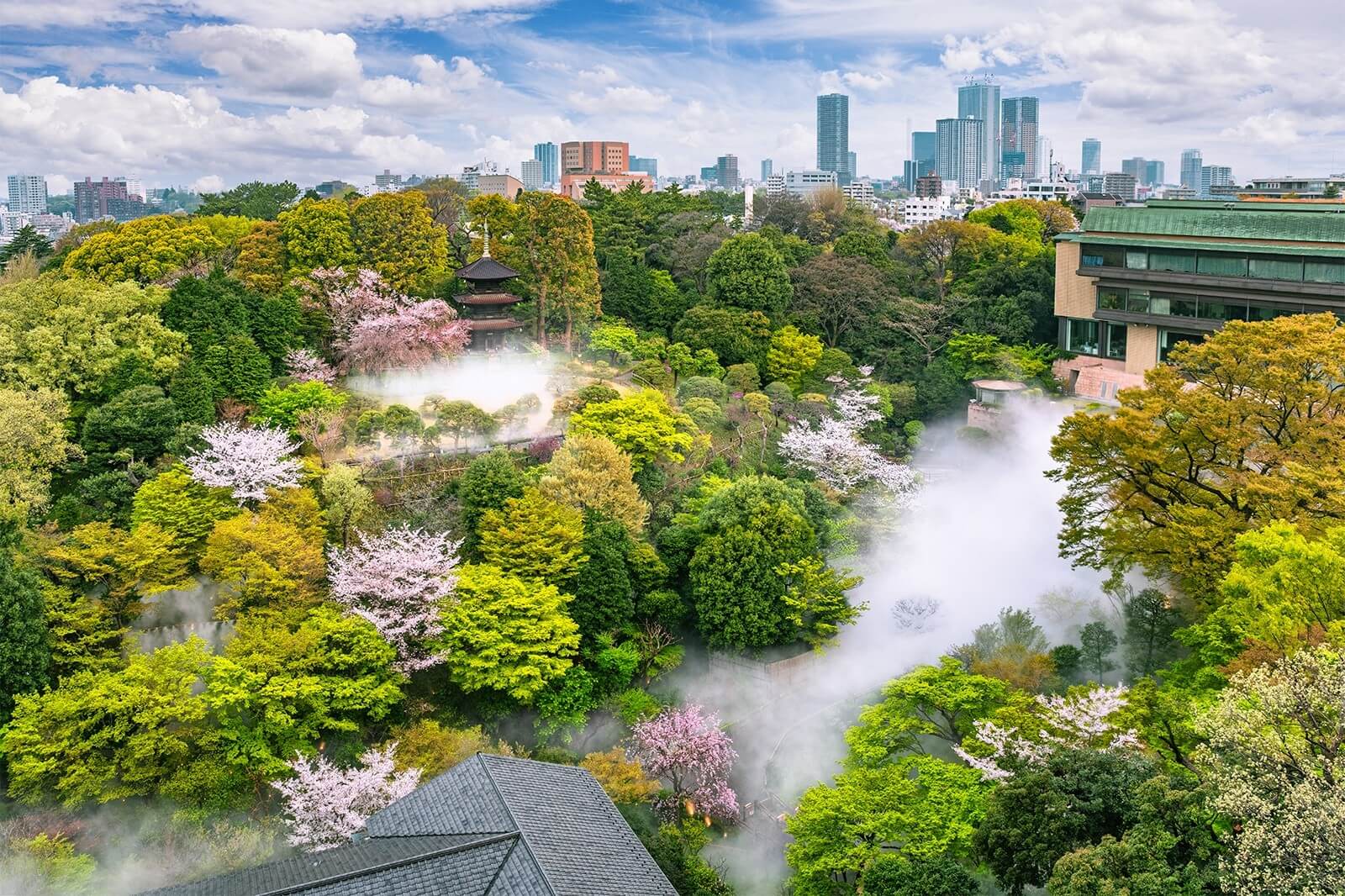 桜や新緑が広がる庭園と霧に包まれた風景、奥に都市の高層ビル群が見える景観。