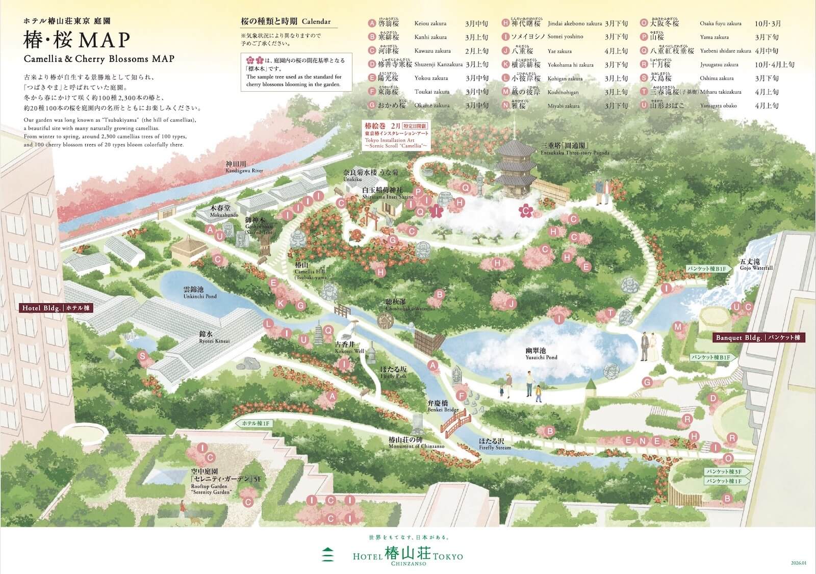 椿山荘の庭園内にある桜の位置や見頃を示した案内マップ。
