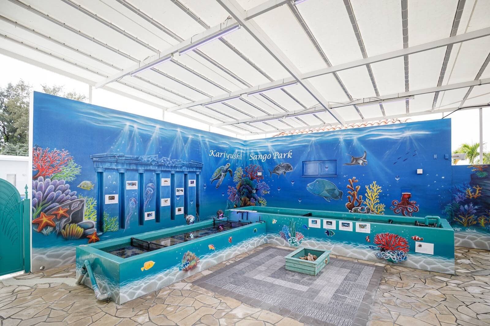 海の生き物が描かれた「Kariyushi Sango Park」の施設内。