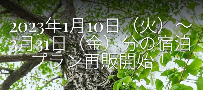 観光需要喚起策『ただいま東京プラス(全国旅行支援)』